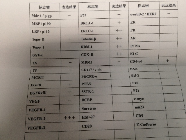 免疫组化2